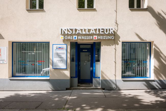 Viessmann Gastherme defekt?